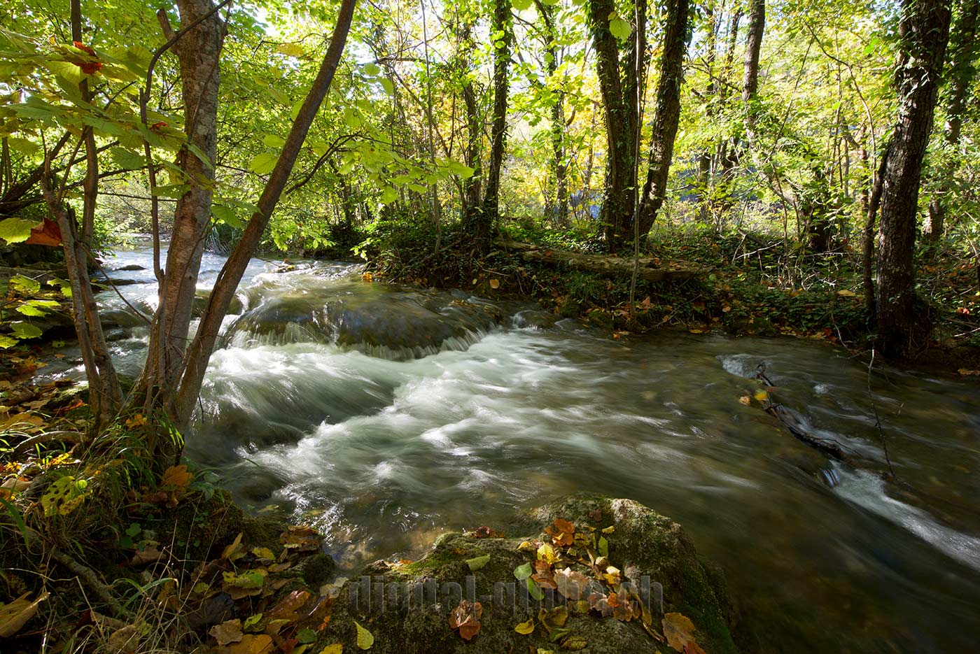 Plitvicka Jezera, Croazia, fotografia, natura, lago, bosco, foresta