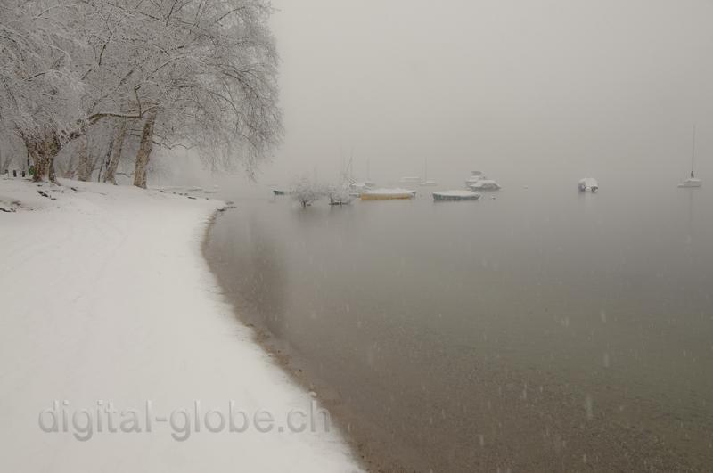 Inverno, nevicata, lago