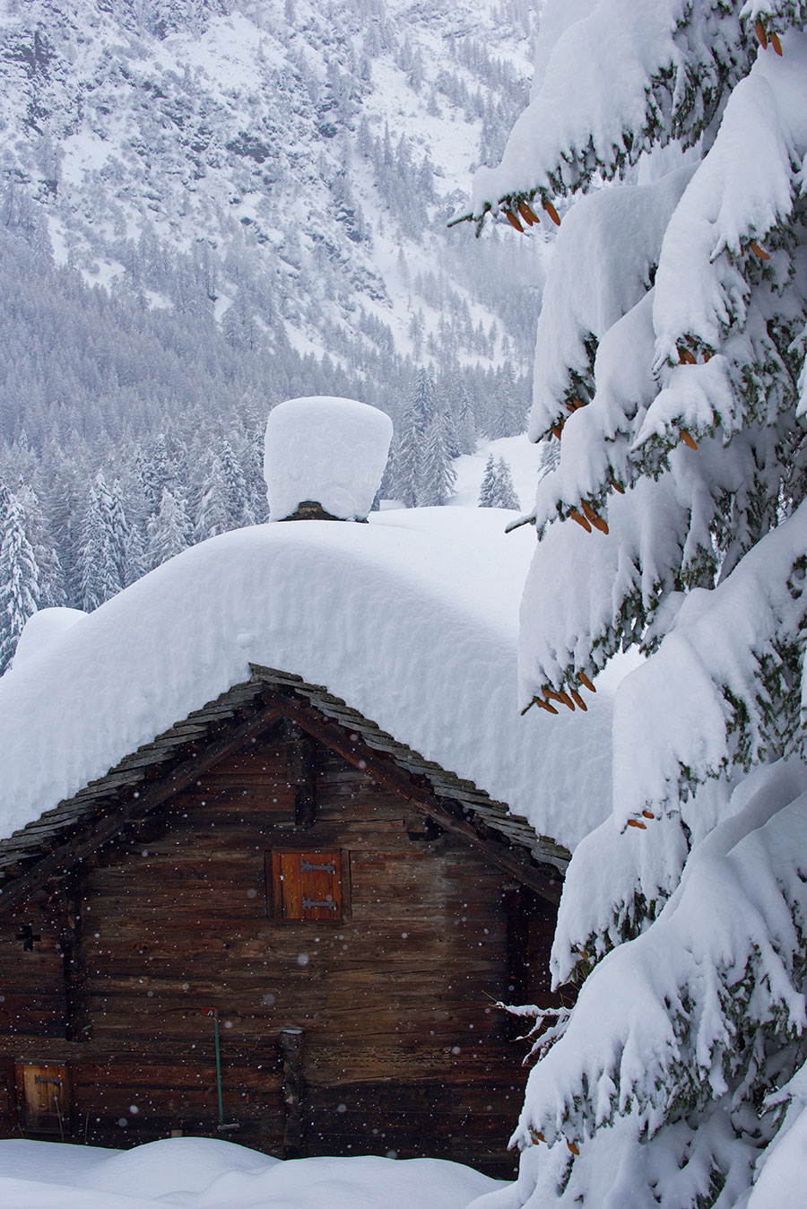 Bosco Gurin, Ticino, inverno, neve