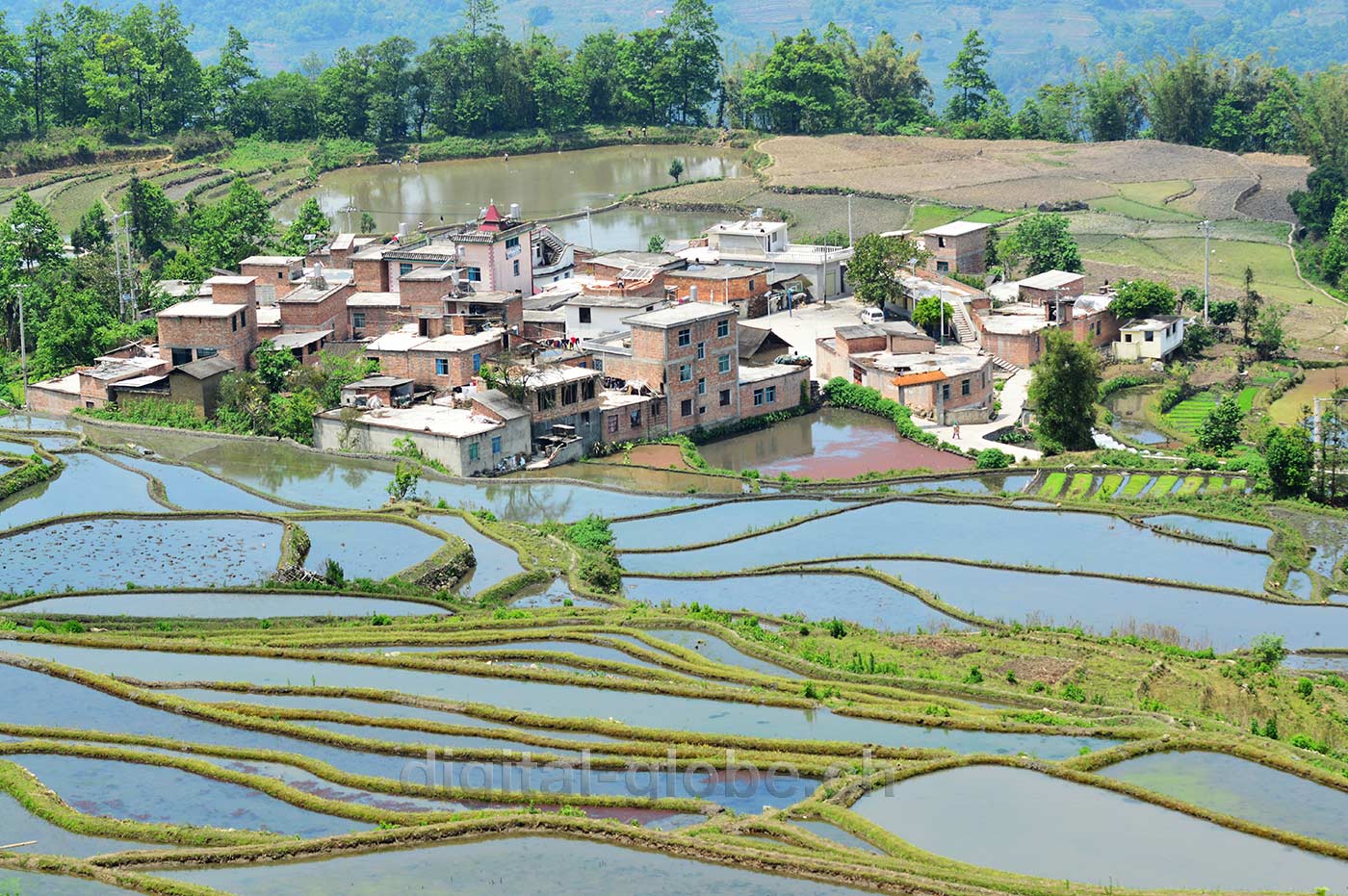 Yuanyang, Yunnan, risaie, fotografia