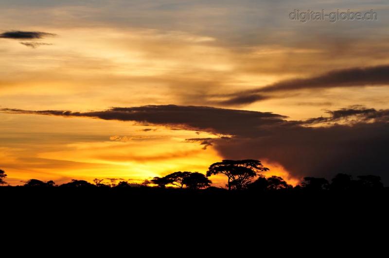 Serengeti, tramonto