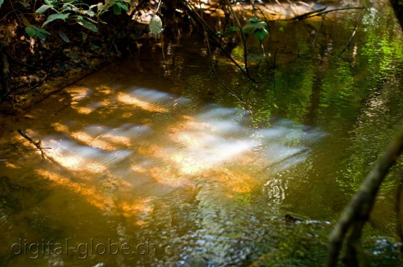 Riflessi, luce, acqua, fiume, Madagascar, fotografia, natura