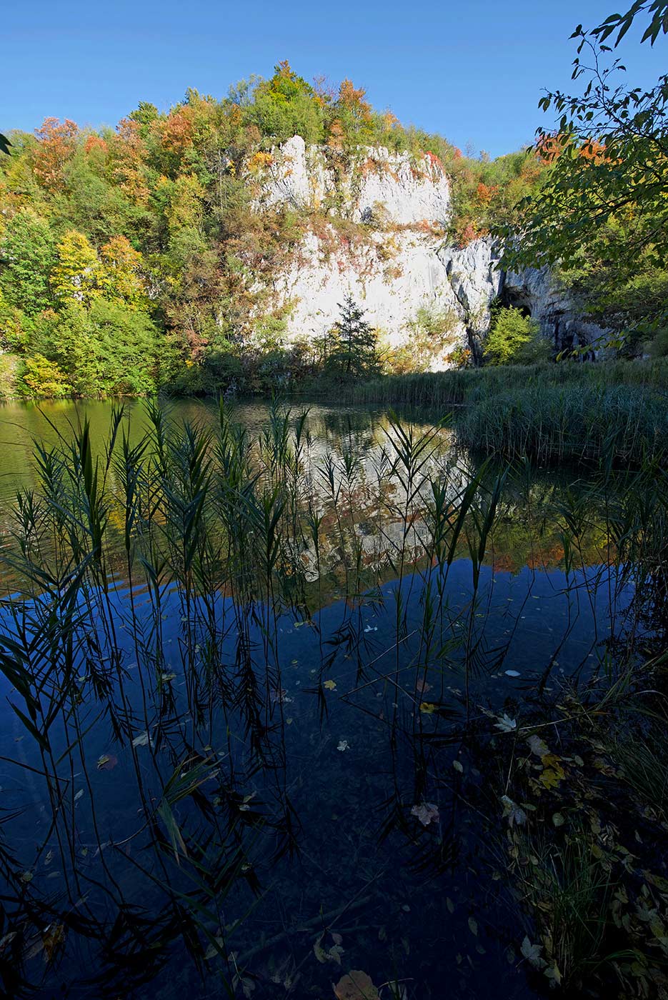 Plitvicka Jezera, Croazia, fotografia, natura, lago, bosco, foresta