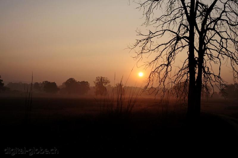 Kanha