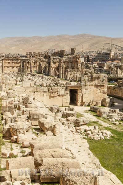 Venere, Tempio, Baalbek, Libano, fotografia