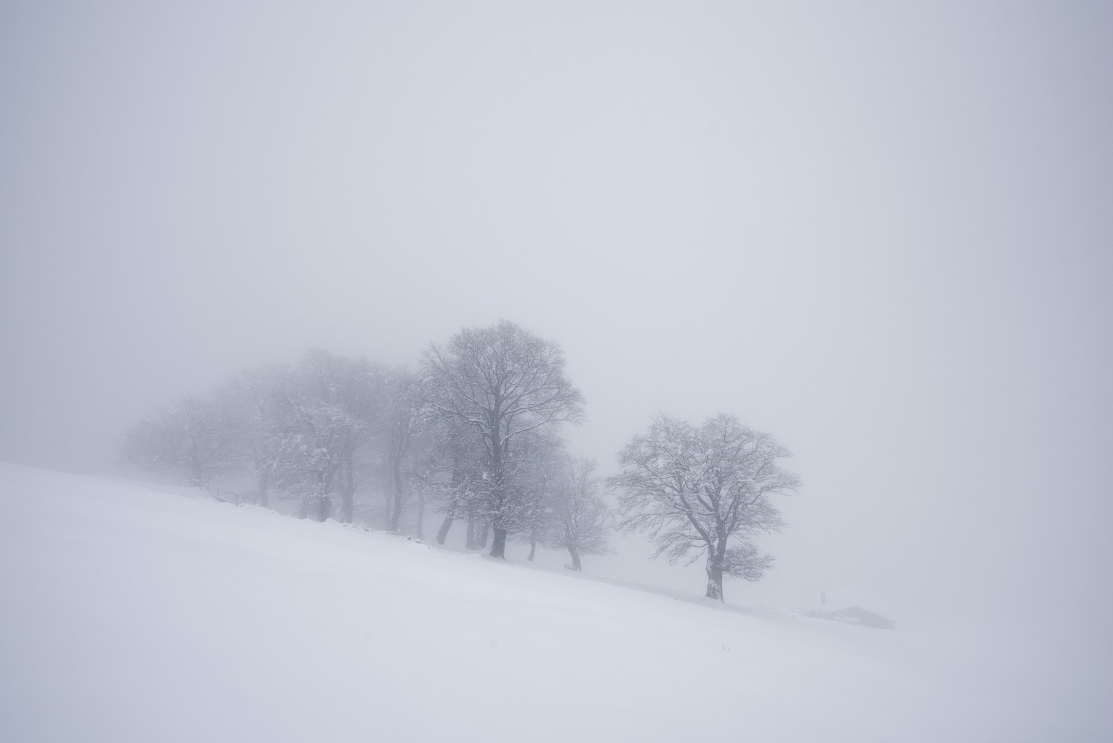 Ticino, Alpe di Neggia
