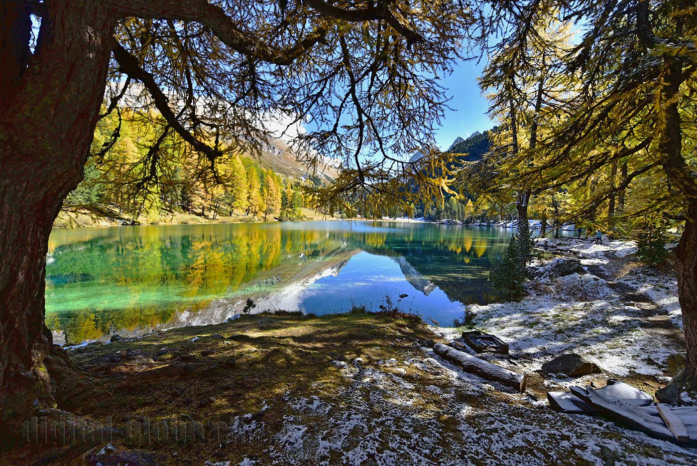 Albula, Grigioni, Svizzera, fotografia, natura