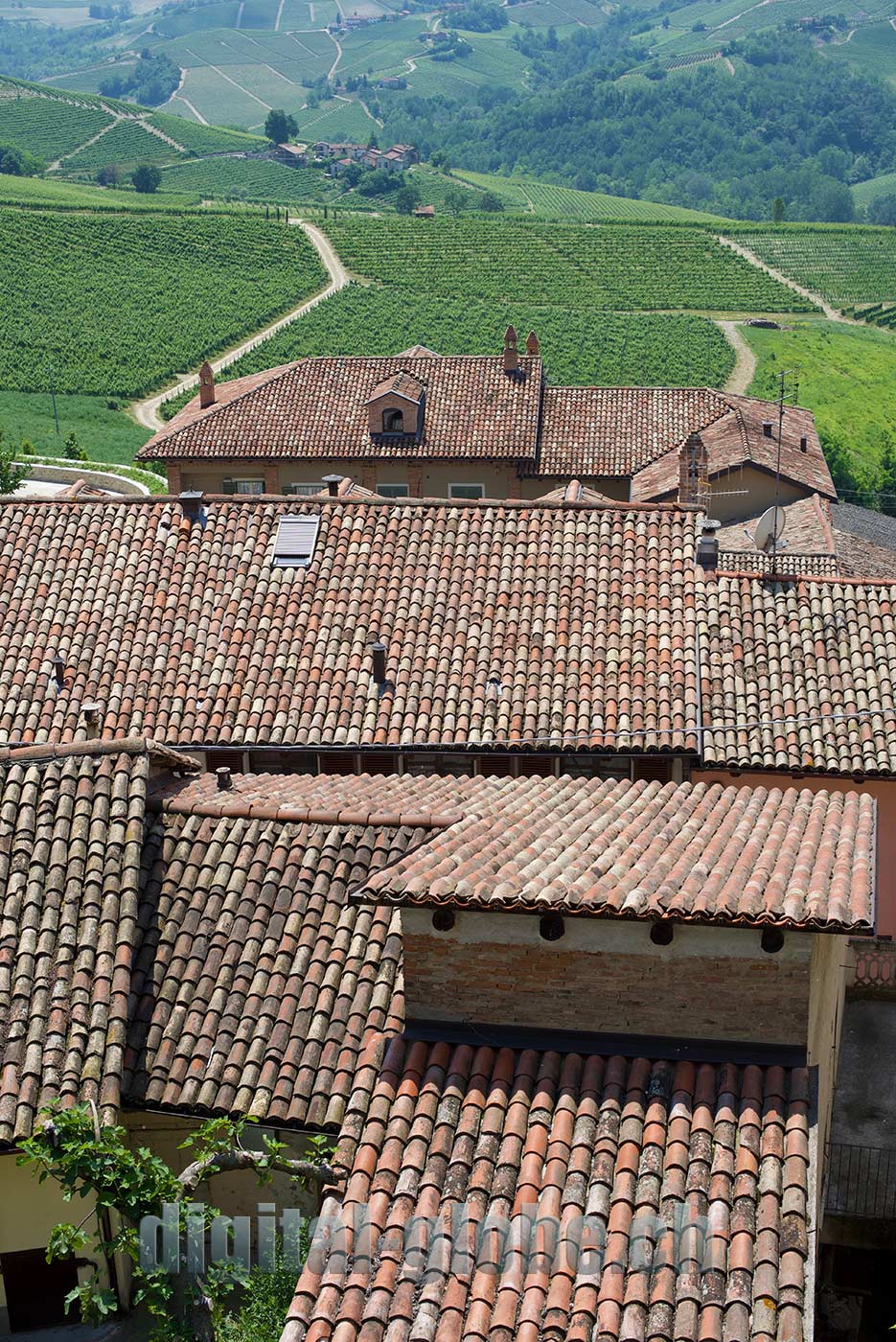 Langhe, Piemonte