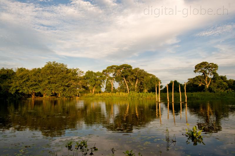Pantanal, fotografia, natura