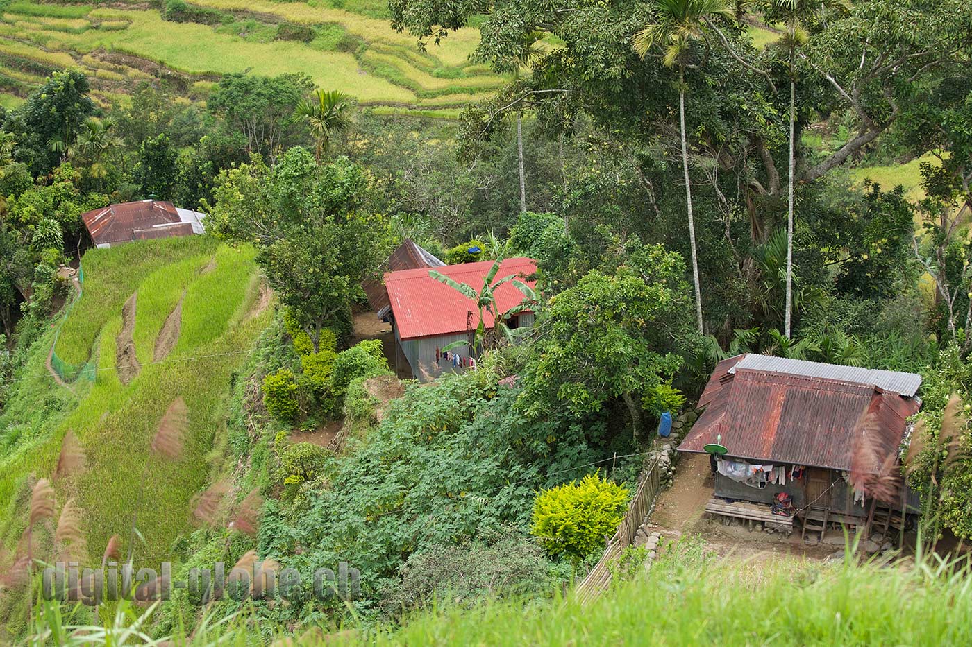 Ifugao Province, Filippine, Rice Terraces, Bangaan, Batad, Banaue
