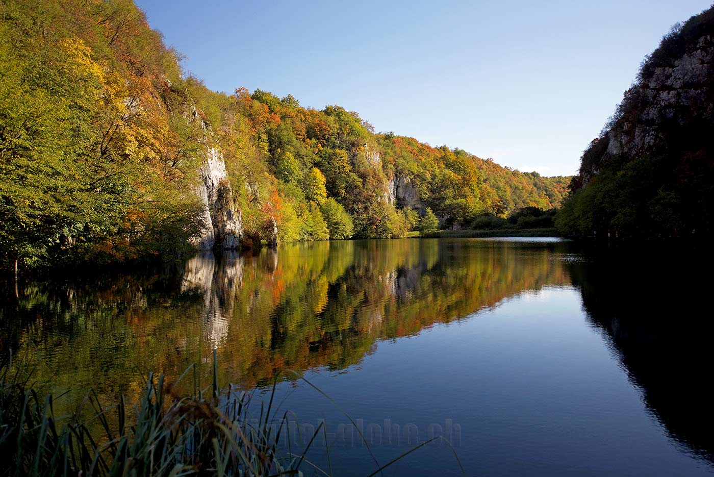 Plitvicka Jezera, Croazia, fotografia, natura, lago, bosco, foresta