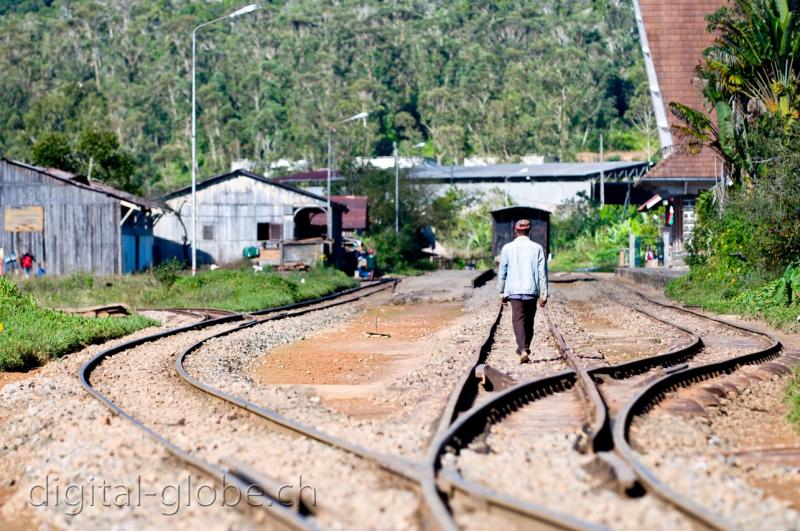 Binario, ferrovia, Andasibe, Madagascar, fotografia